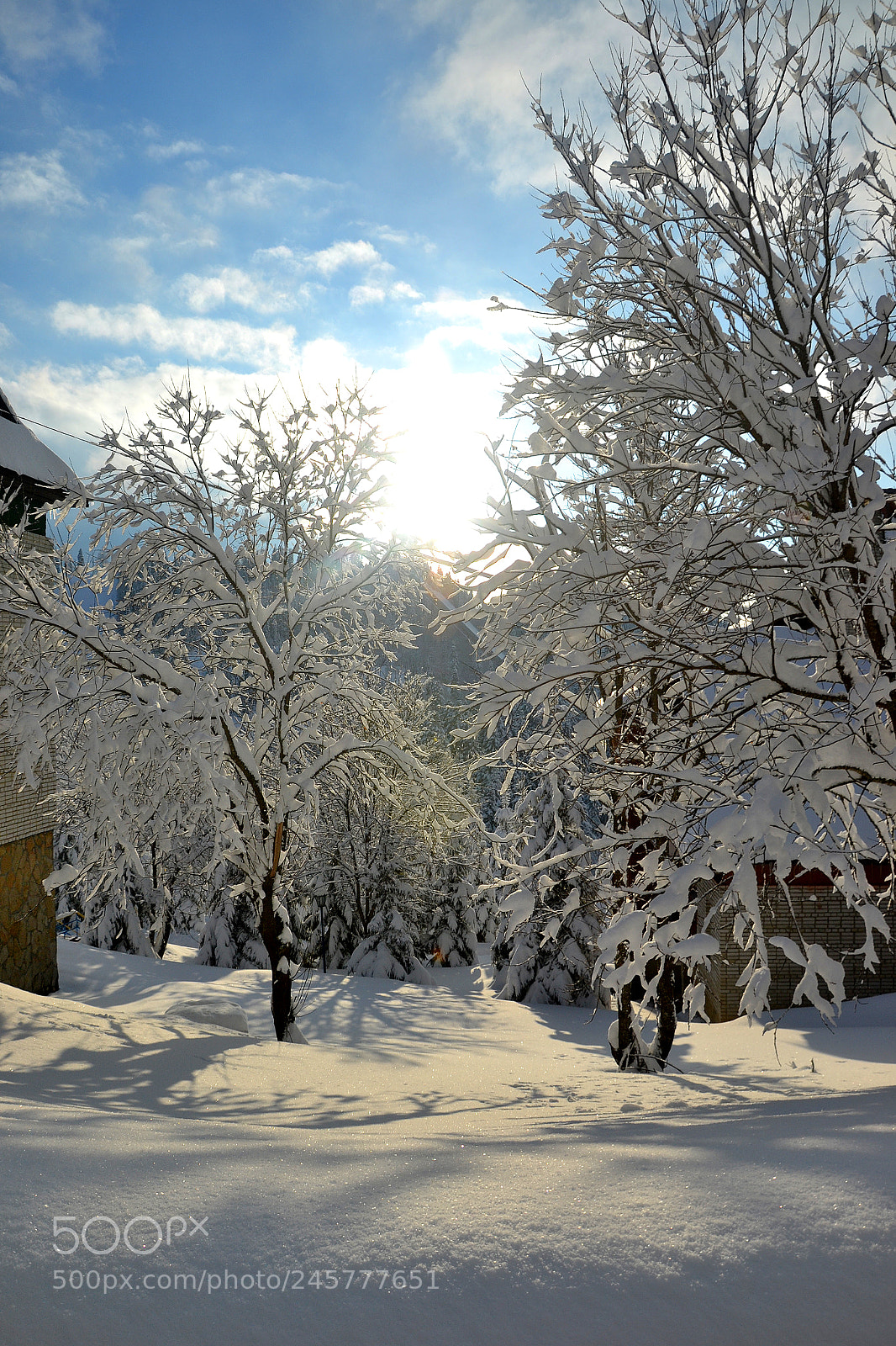 Nikon D3100 sample photo. Winter photography