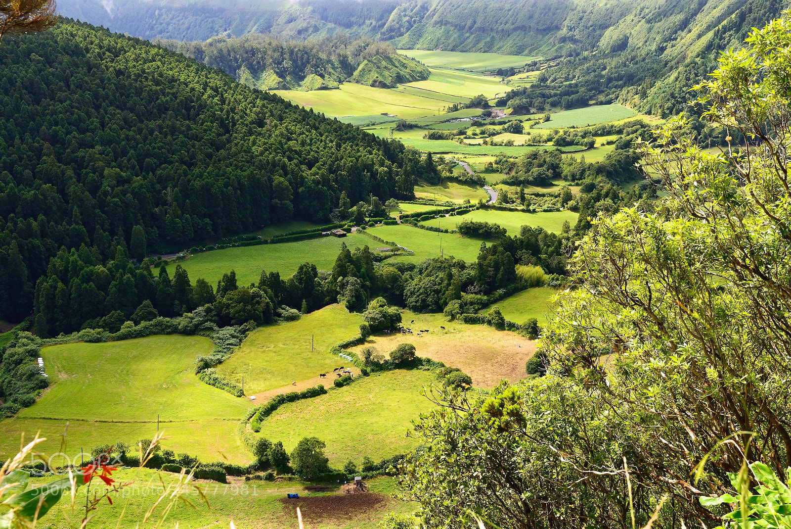 Nikon D610 sample photo. Sao miguel - azores photography