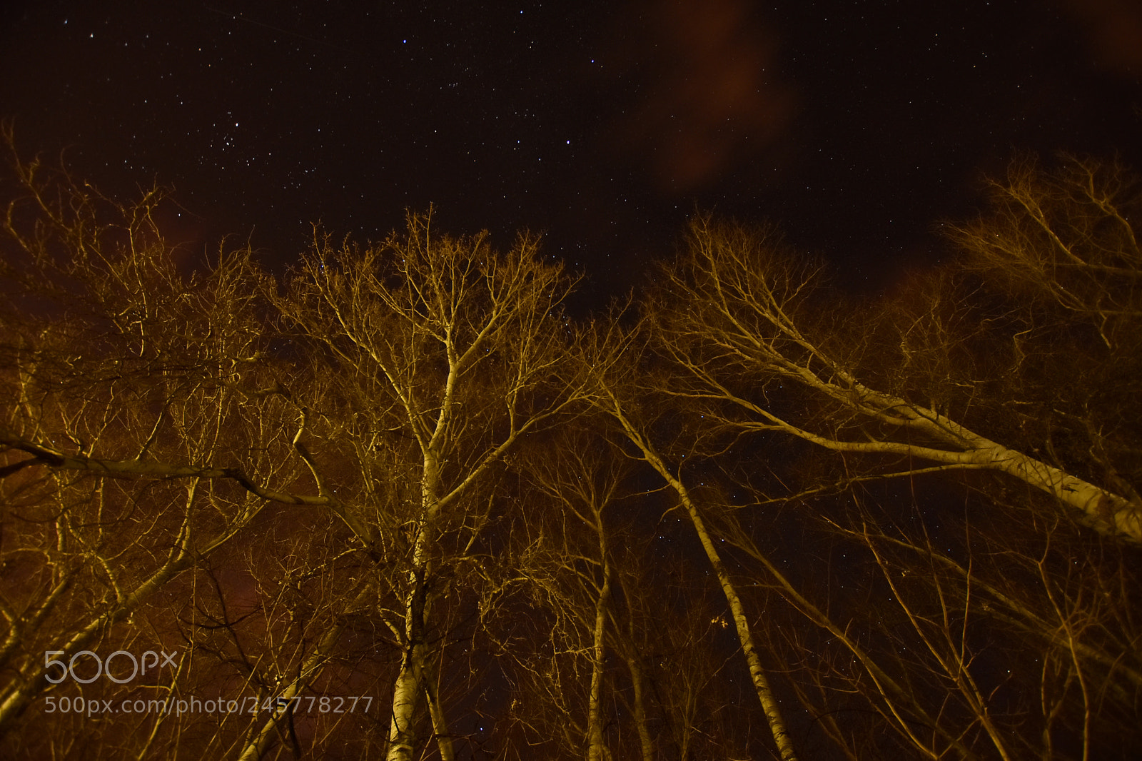 Nikon D7200 sample photo. Untitled photography