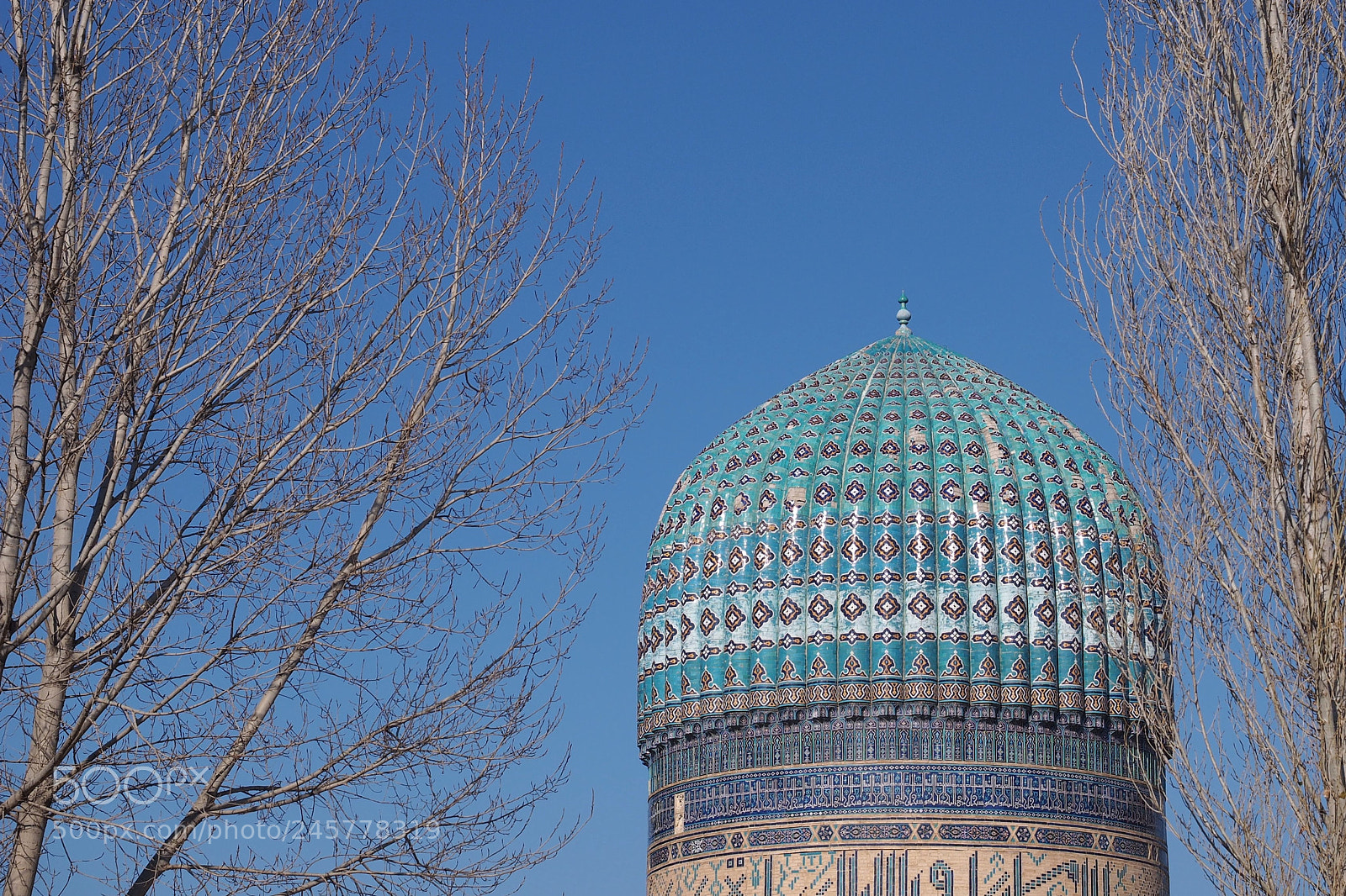 Olympus OM-D E-M1 sample photo. 青　(blue) photography