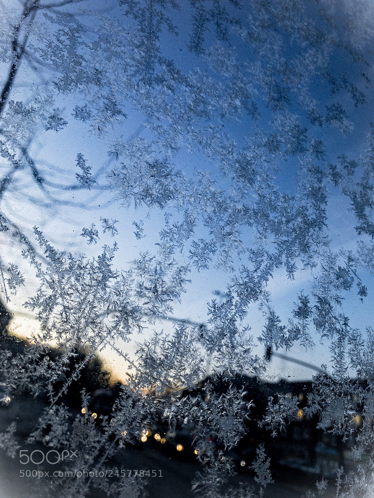 Apple iPhone 7 sample photo. Frozen ice flakes on photography