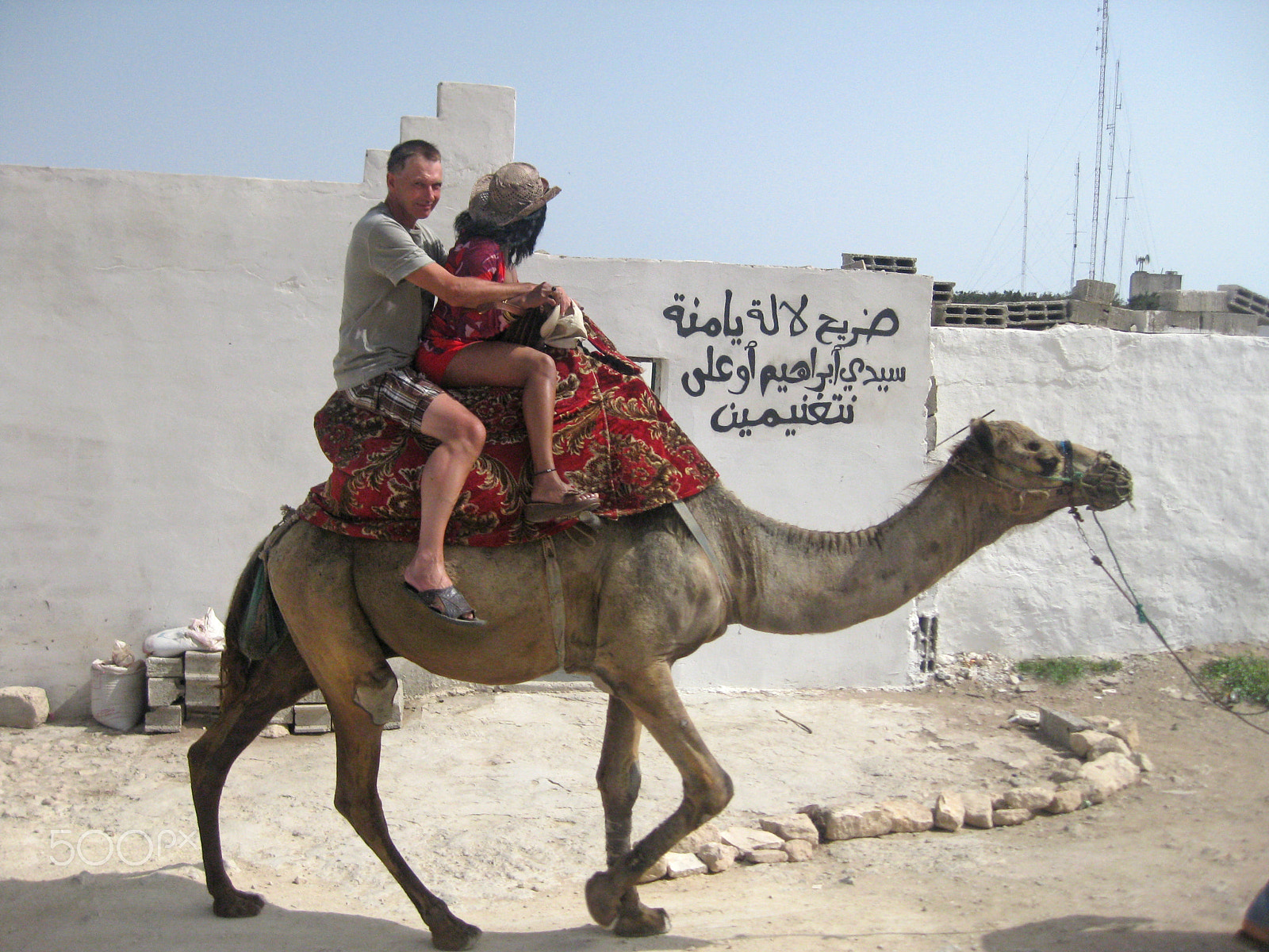 Canon PowerShot SD1100 IS (Digital IXUS 80 IS / IXY Digital 20 IS) sample photo. Camel riding in morrocco photography