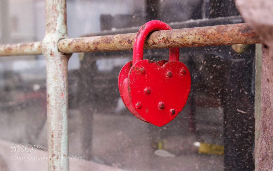 Samsung NX3000 sample photo. ... photography