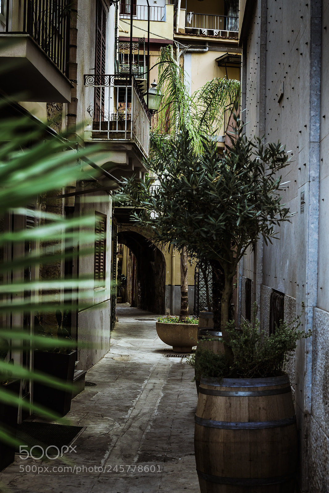Canon EOS 700D (EOS Rebel T5i / EOS Kiss X7i) sample photo. Rustic alley photography