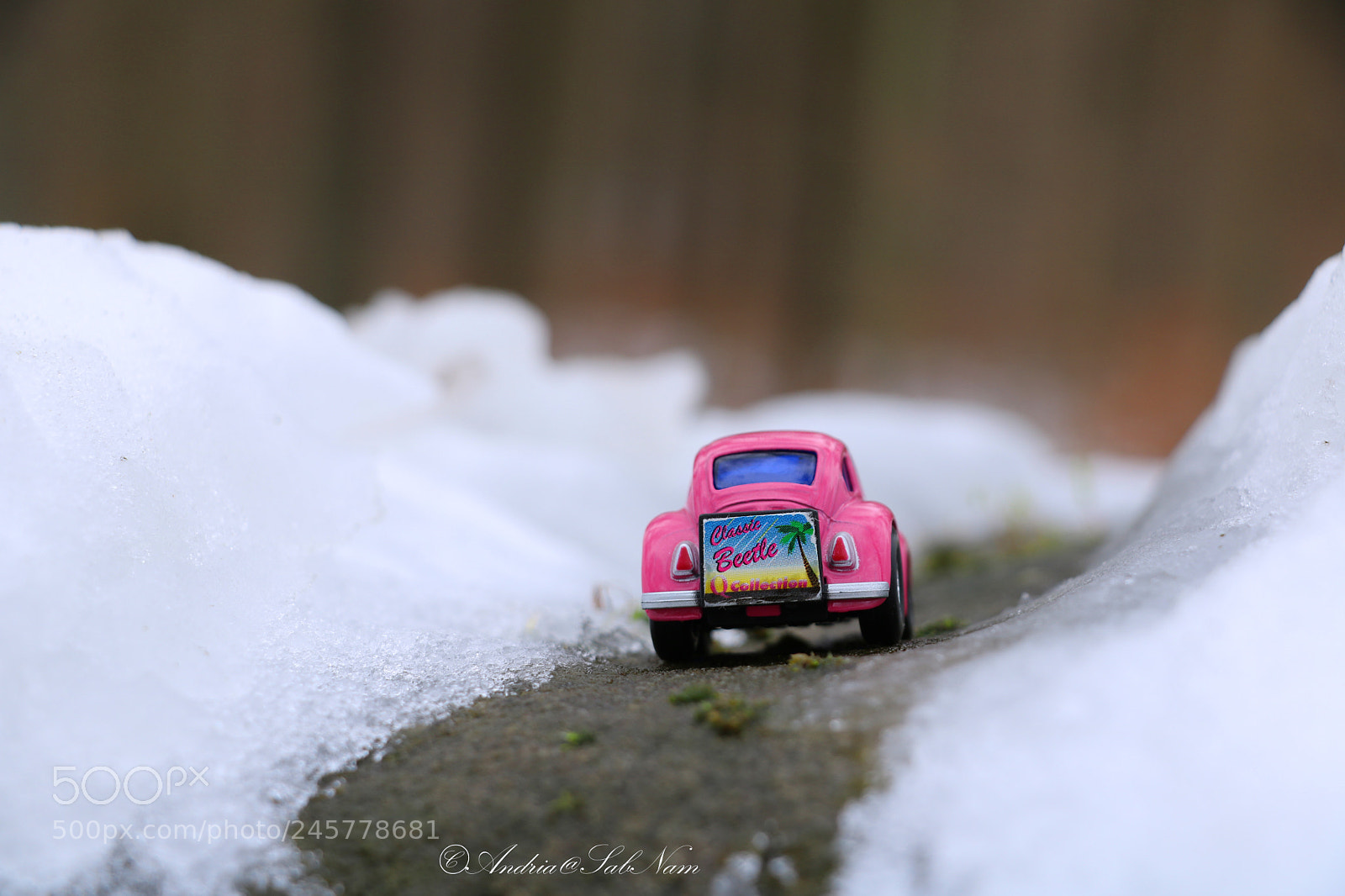 Canon EOS 750D (EOS Rebel T6i / EOS Kiss X8i) sample photo. Volkswagen coccinelle photography