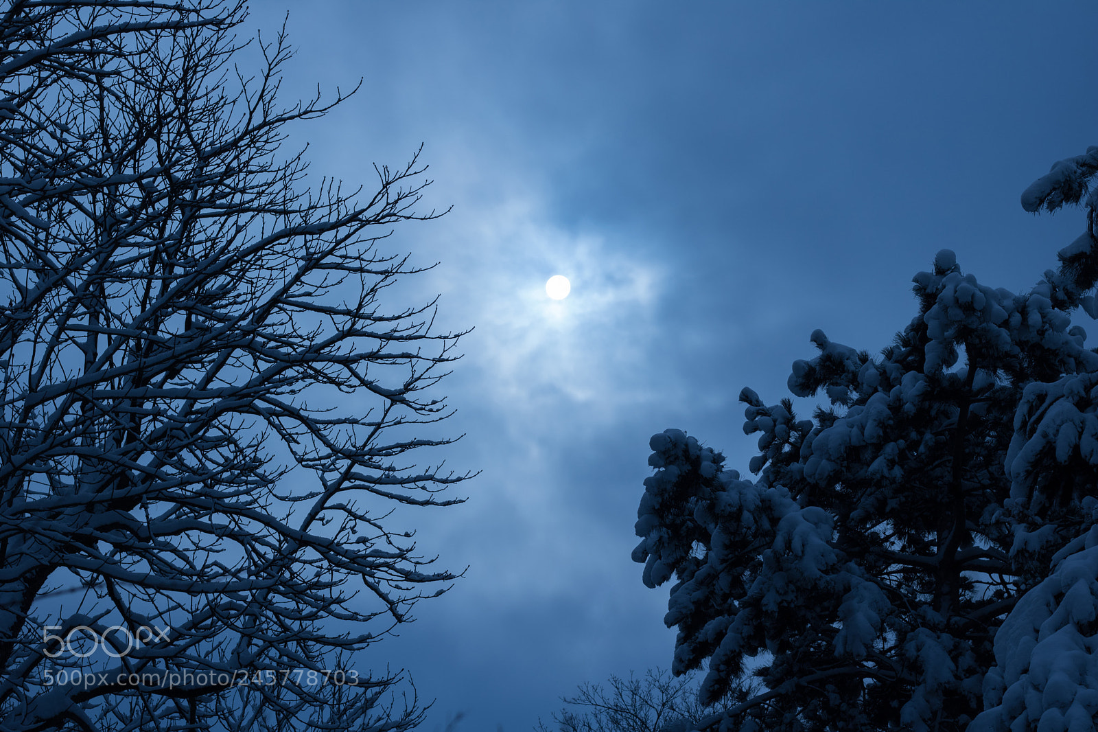 Canon EOS 760D (EOS Rebel T6s / EOS 8000D) sample photo. Soleil d'hiver photography