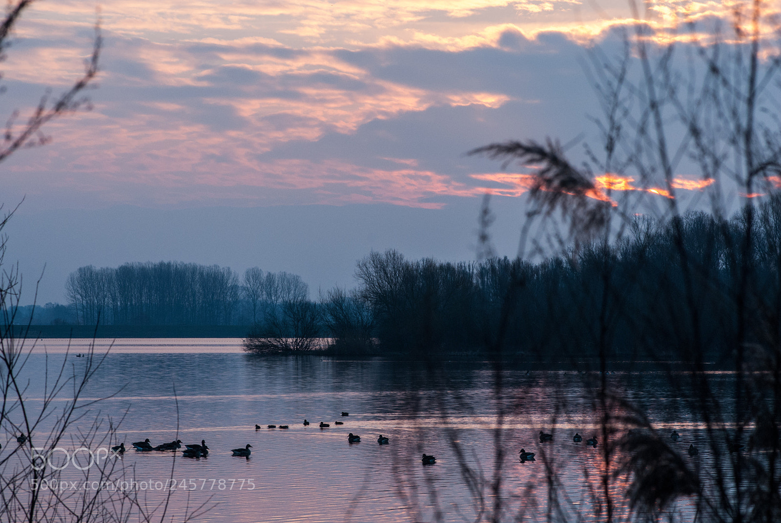 Nikon D200 sample photo. Sunrise photography