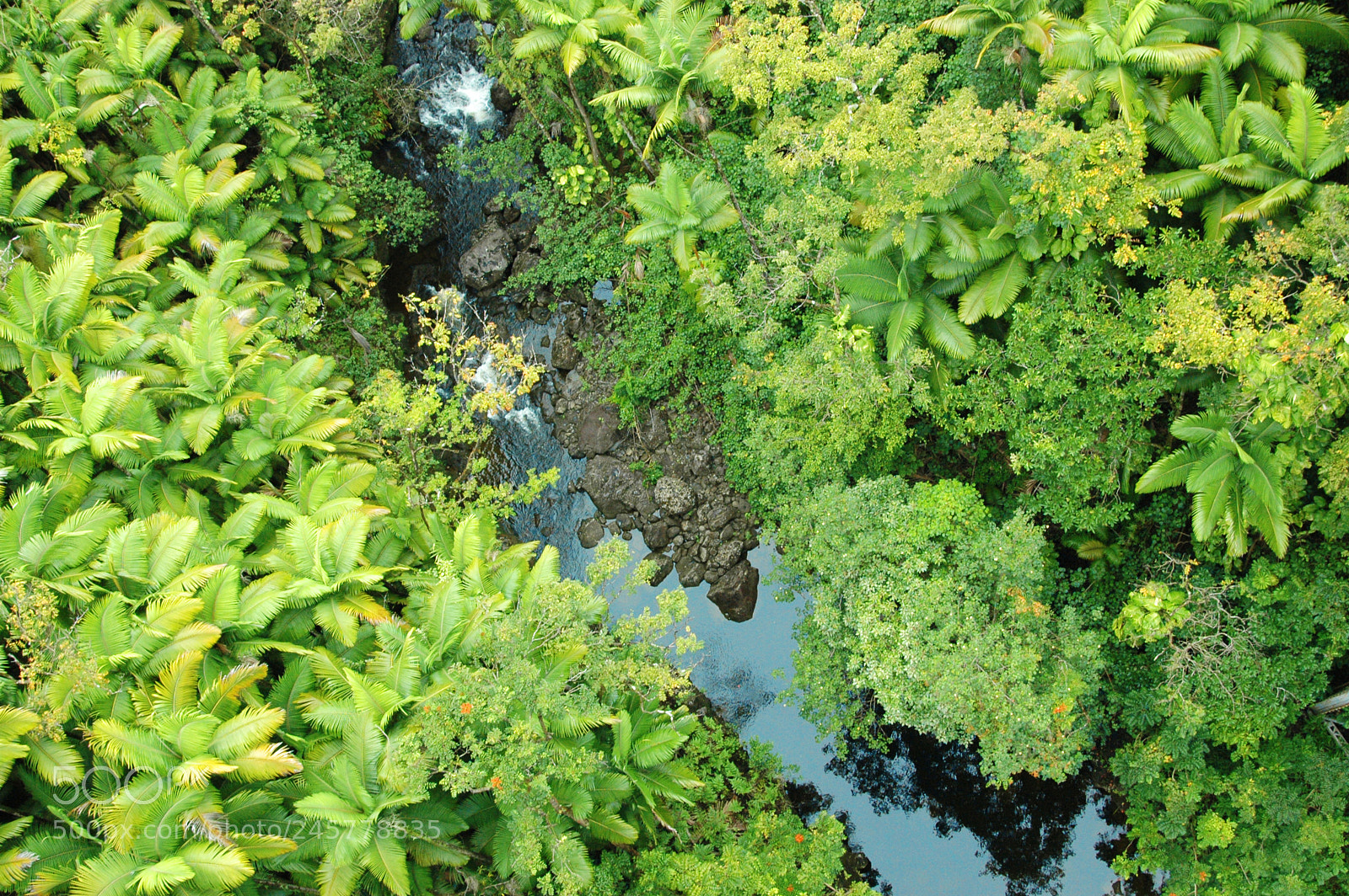 Nikon D70 sample photo. R photography