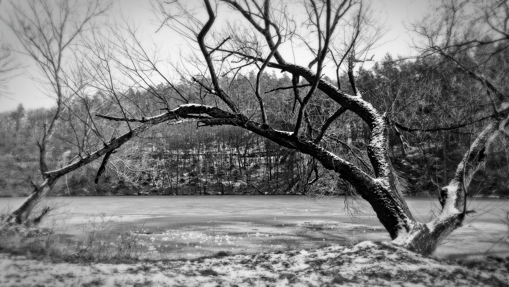 Sigma 17-70mm F2.8-4 DC Macro OS HSM | C sample photo. Void in winter photography