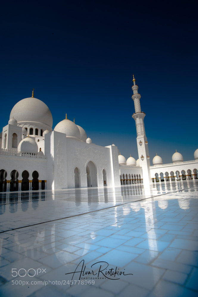 Nikon D3 sample photo. White and blue photography
