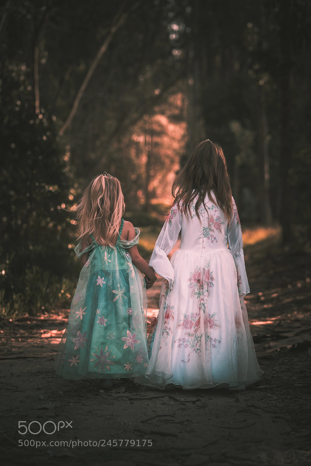 Sony a7R III sample photo. Fairy tale forest photography