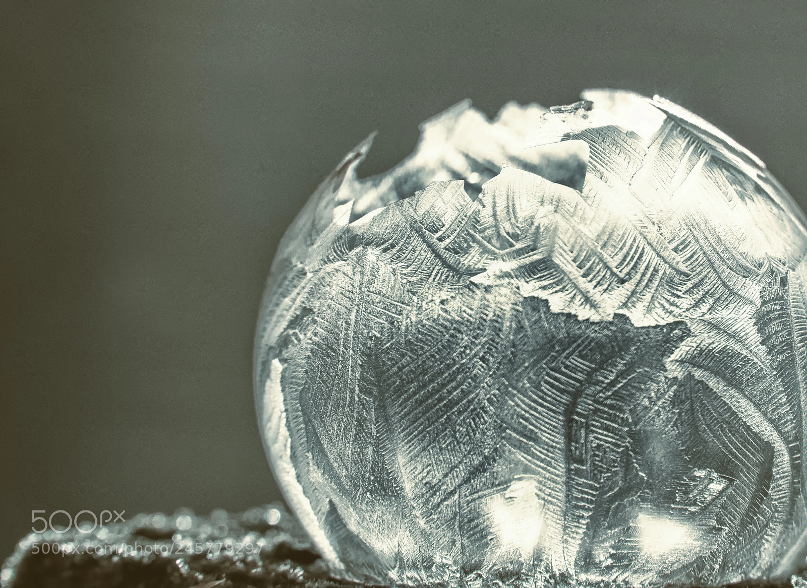 Nikon D7200 sample photo. Frost photography