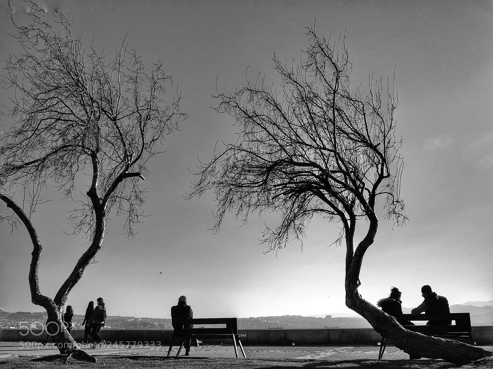 Olympus OM-D E-M10 III sample photo. Winter life | izmir photography