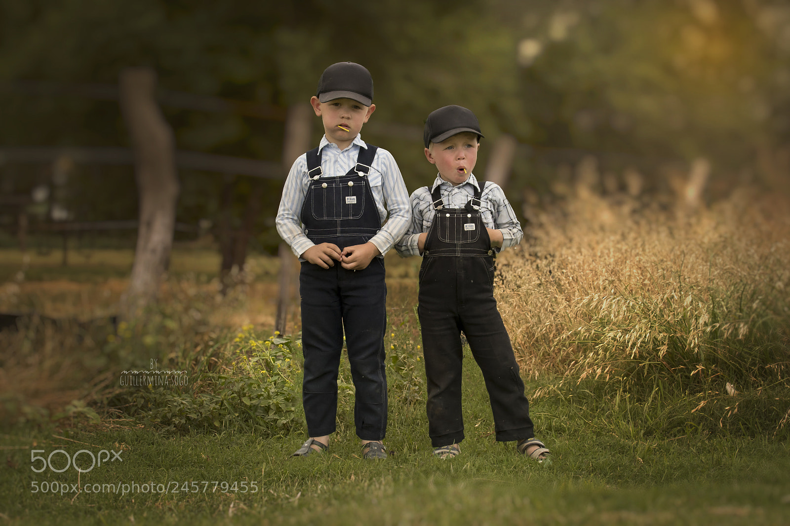 Nikon D500 sample photo. Dos niños menonitas photography