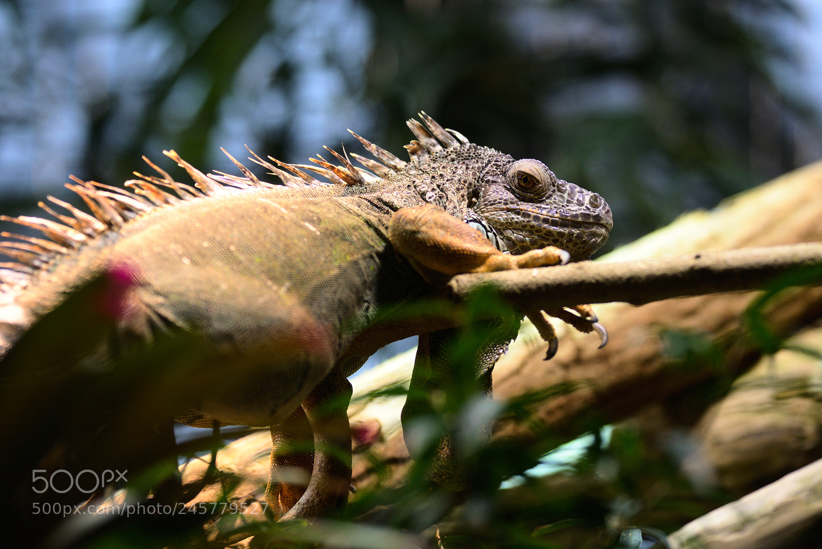 Nikon D7200 sample photo. What? photography