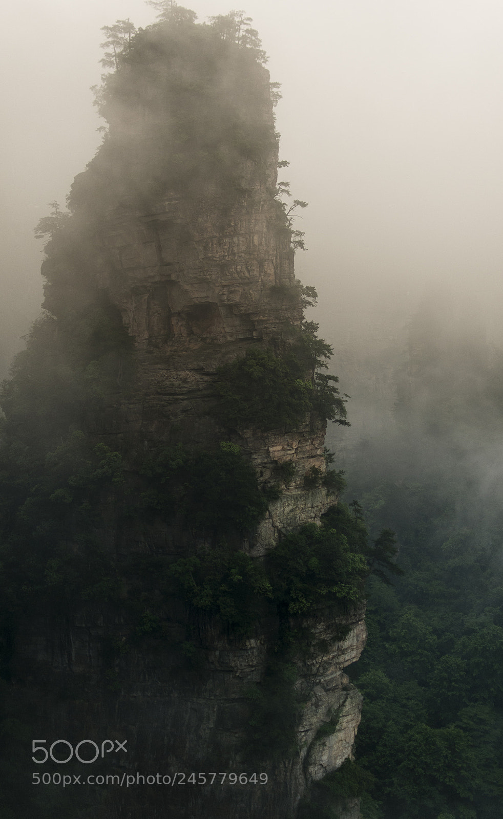 Nikon D300S sample photo. Zhangjiajie photography