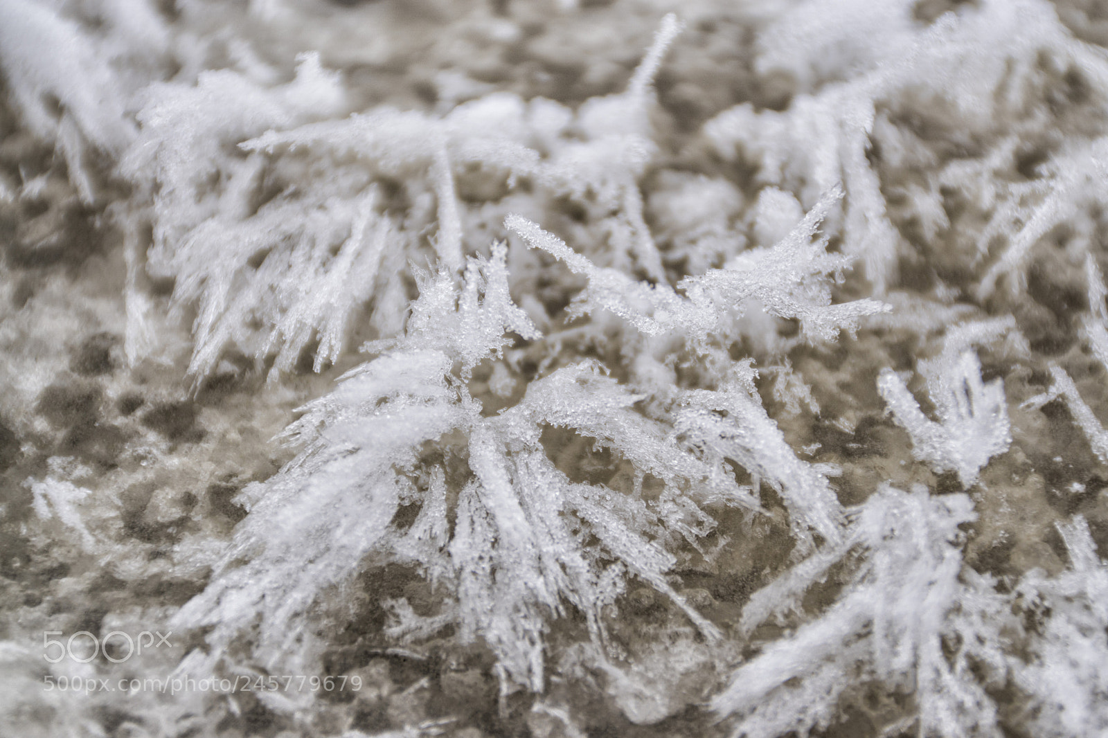 Sony ILCA-77M2 sample photo. Ice on ice photography