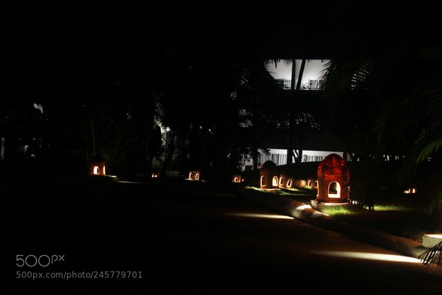 Canon EOS 700D (EOS Rebel T5i / EOS Kiss X7i) sample photo. Sentier de nuit photography