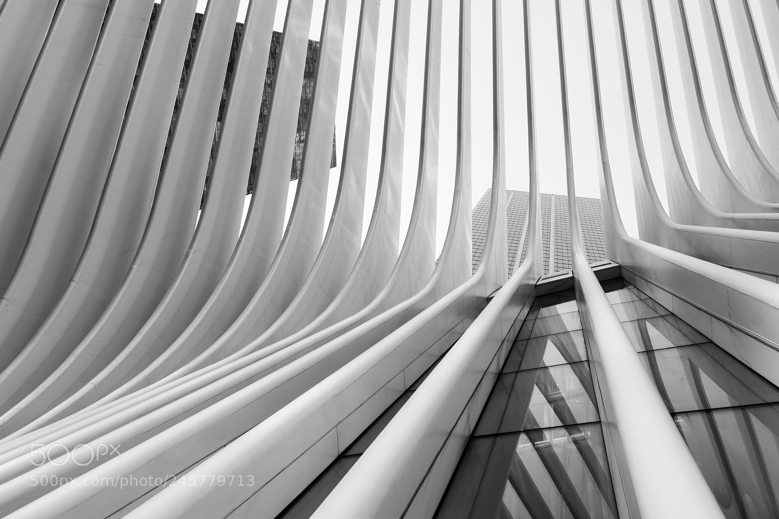 Nikon D7100 sample photo. City lines photography