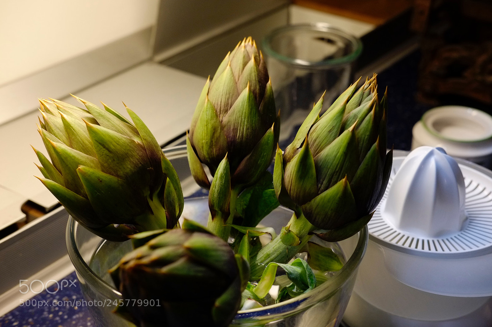 Fujifilm X-E1 sample photo. Artichokes photography