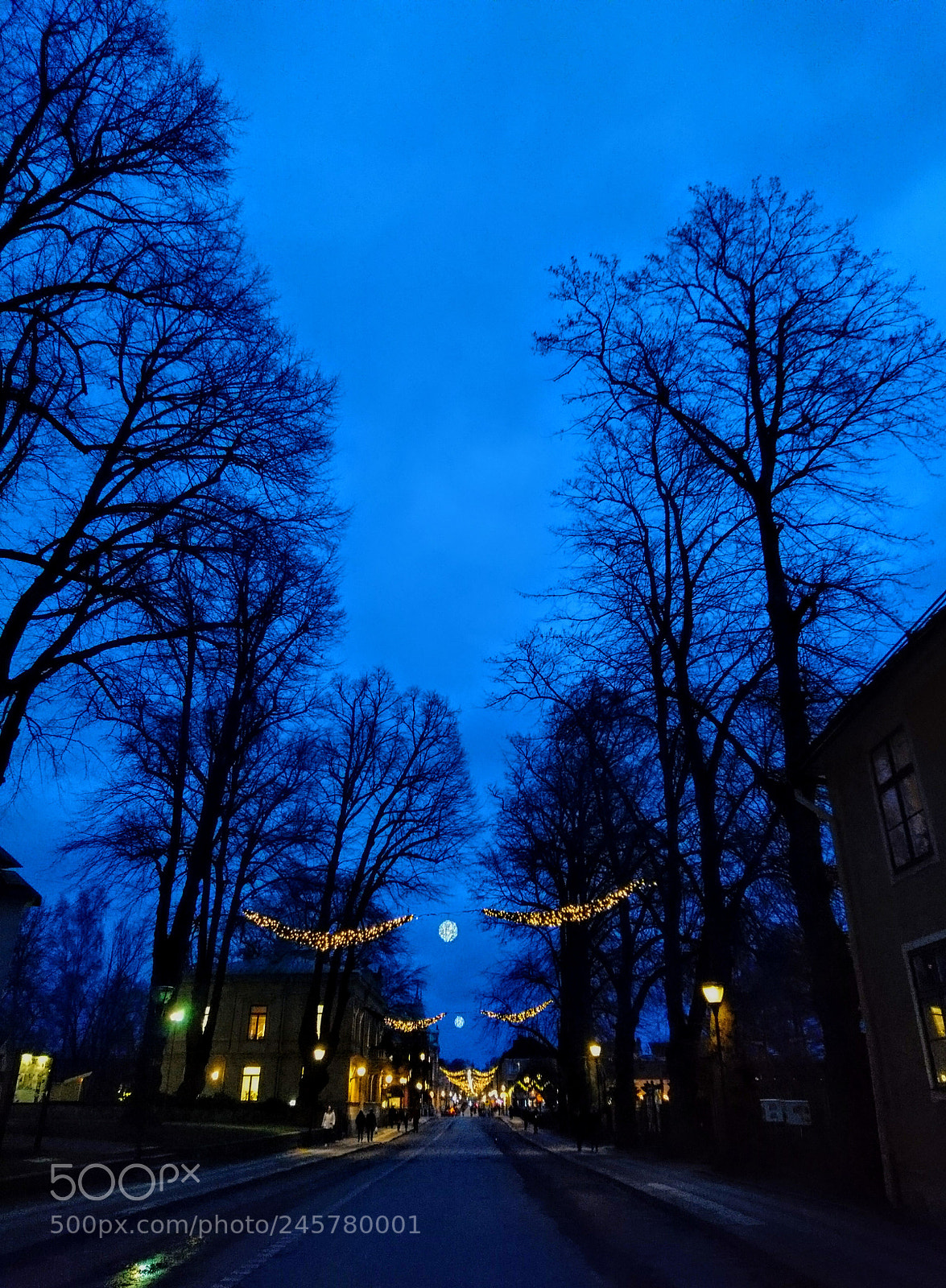 Sony Xperia X sample photo. Dsc photography