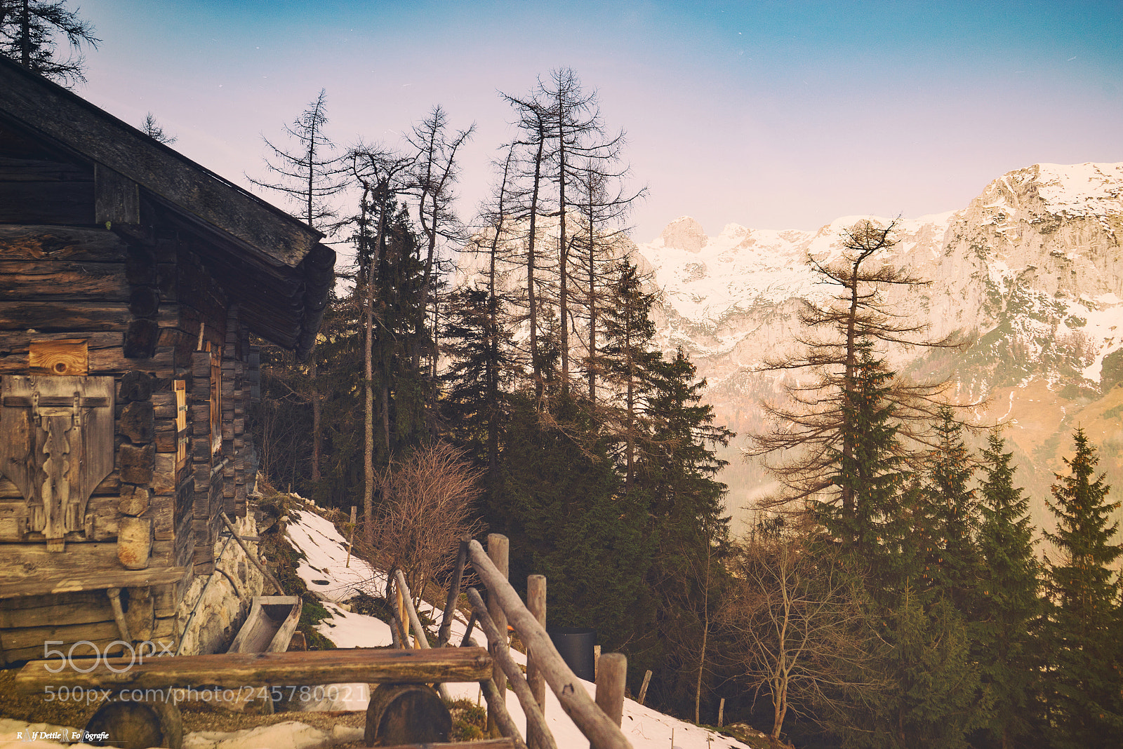 Sony a7 II sample photo. Berchtesgadener wald photography