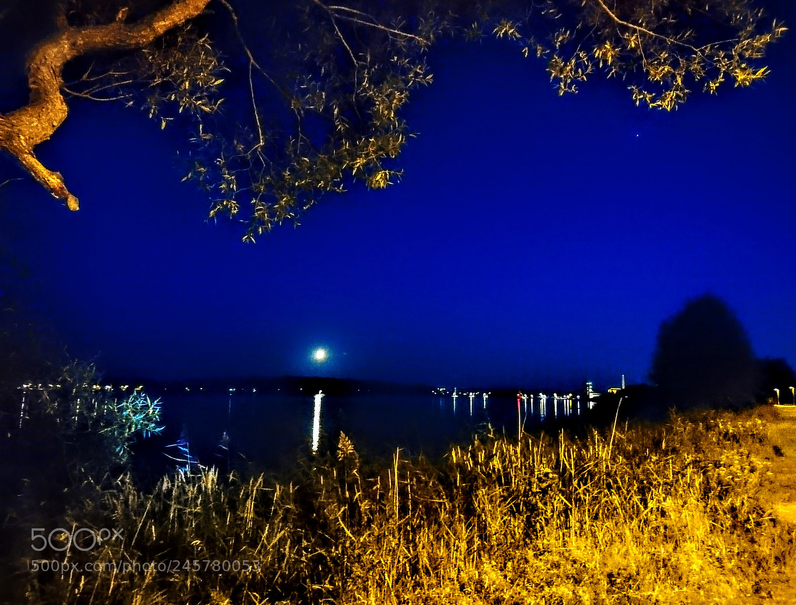 Sony Xperia X sample photo. Dsc photography