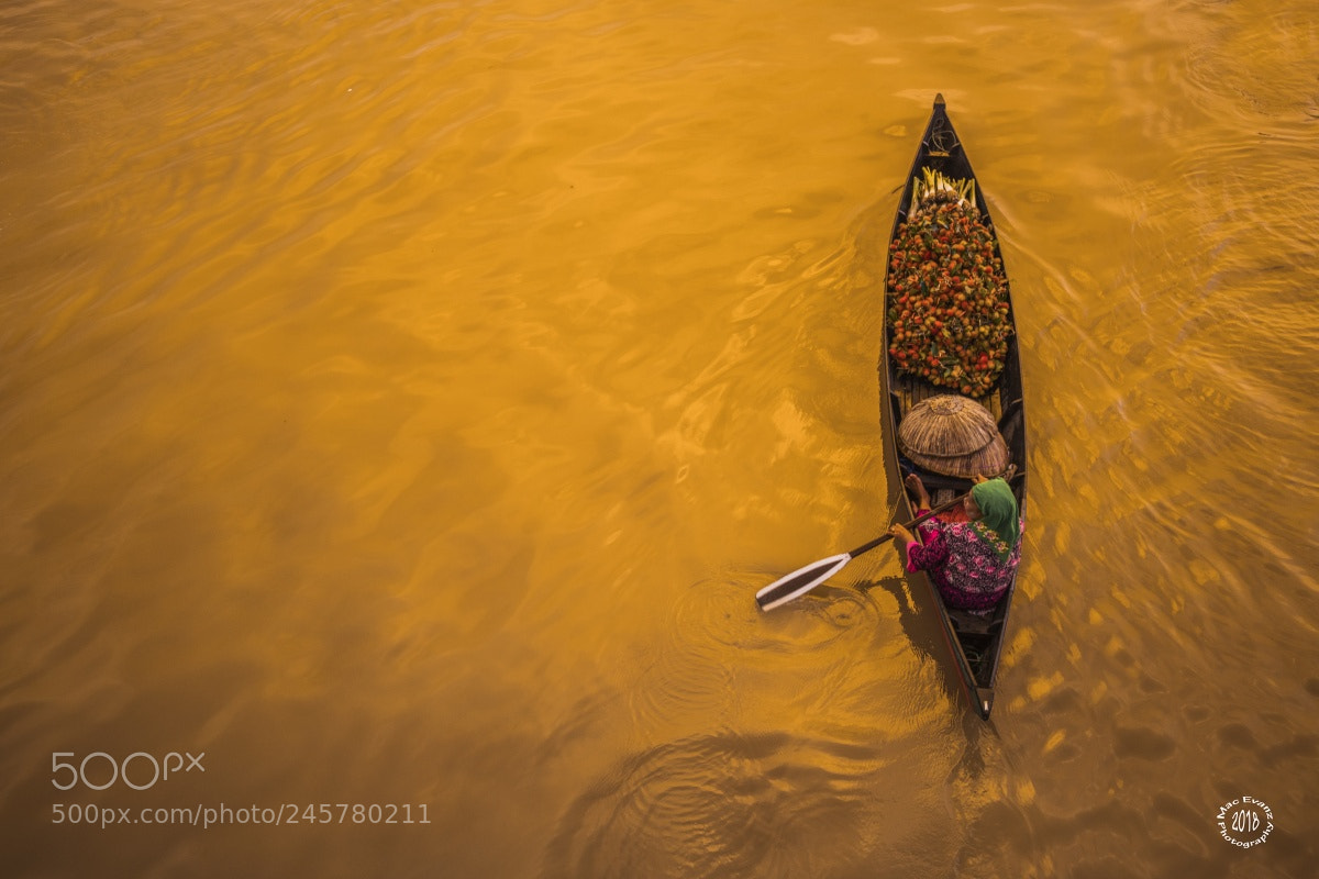 Nikon D850 sample photo. The seller photography