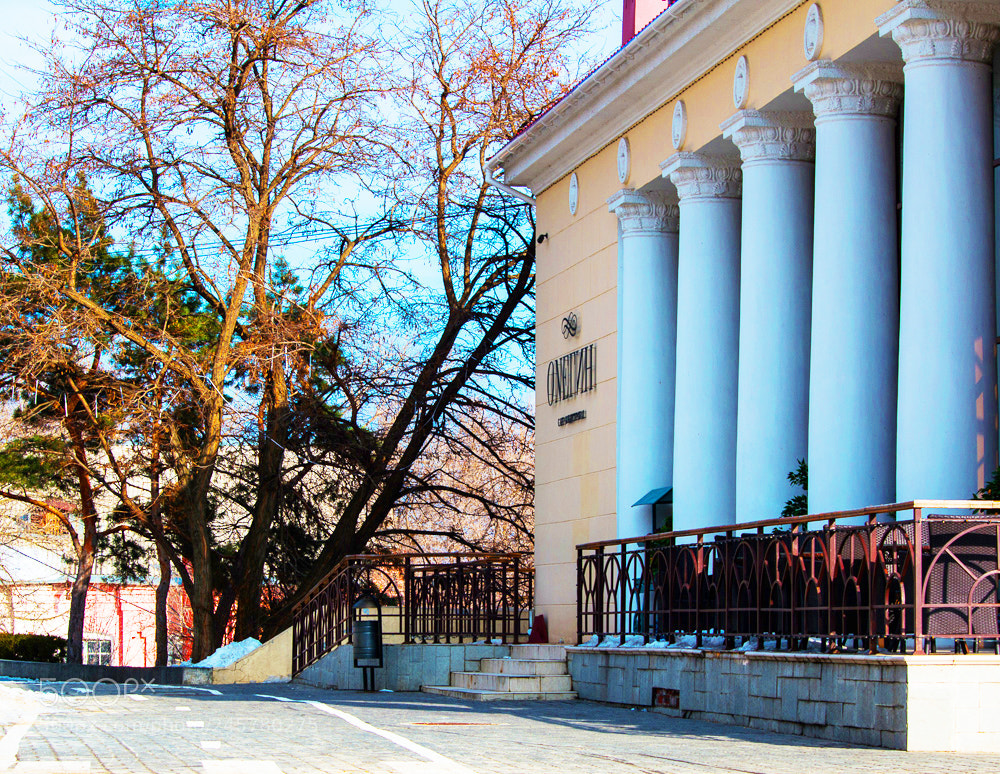 Nikon D3200 sample photo. КАФЕ ОНЕГИН photography