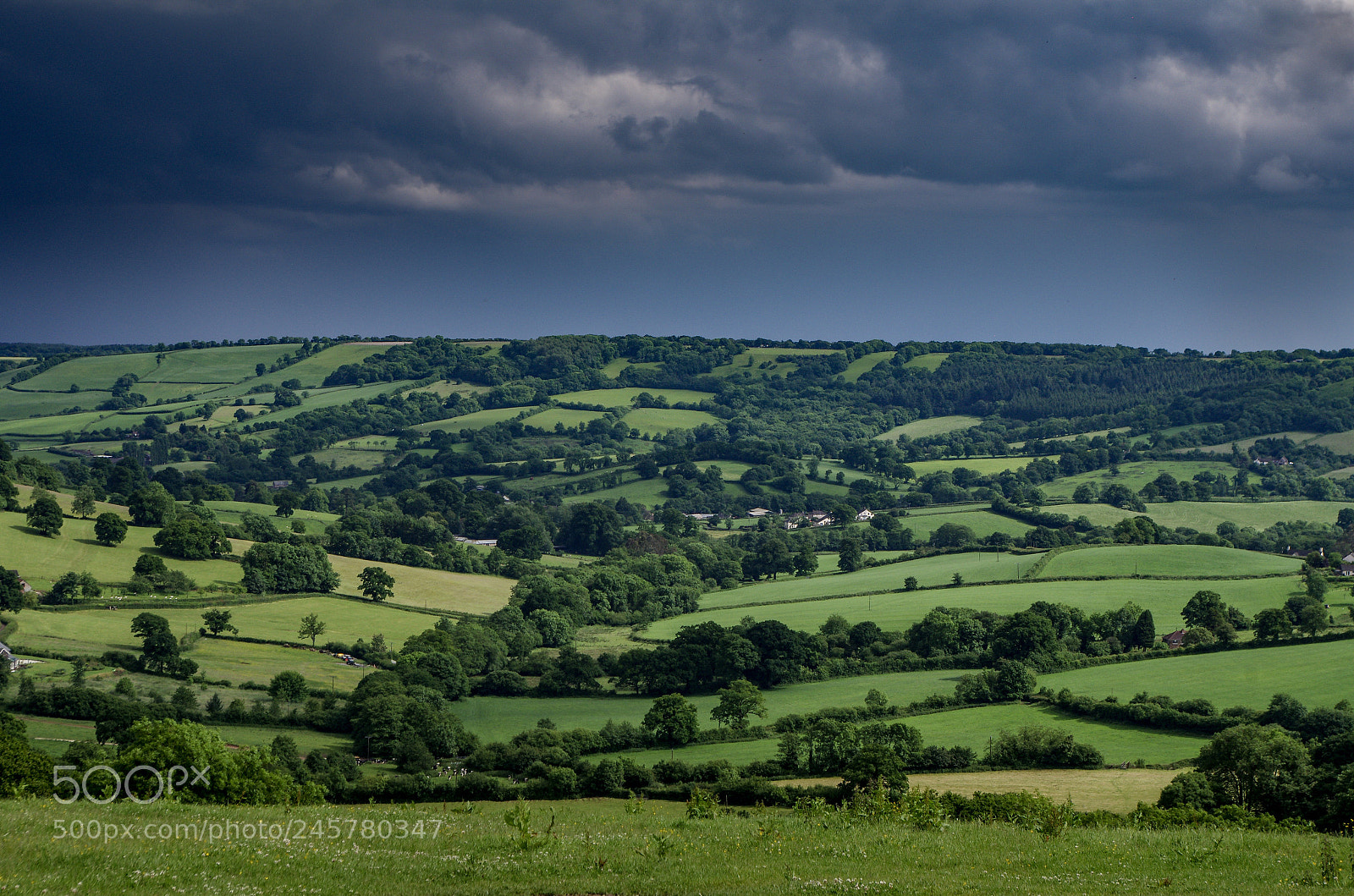 Pentax K-5 sample photo. East devon landscape photography