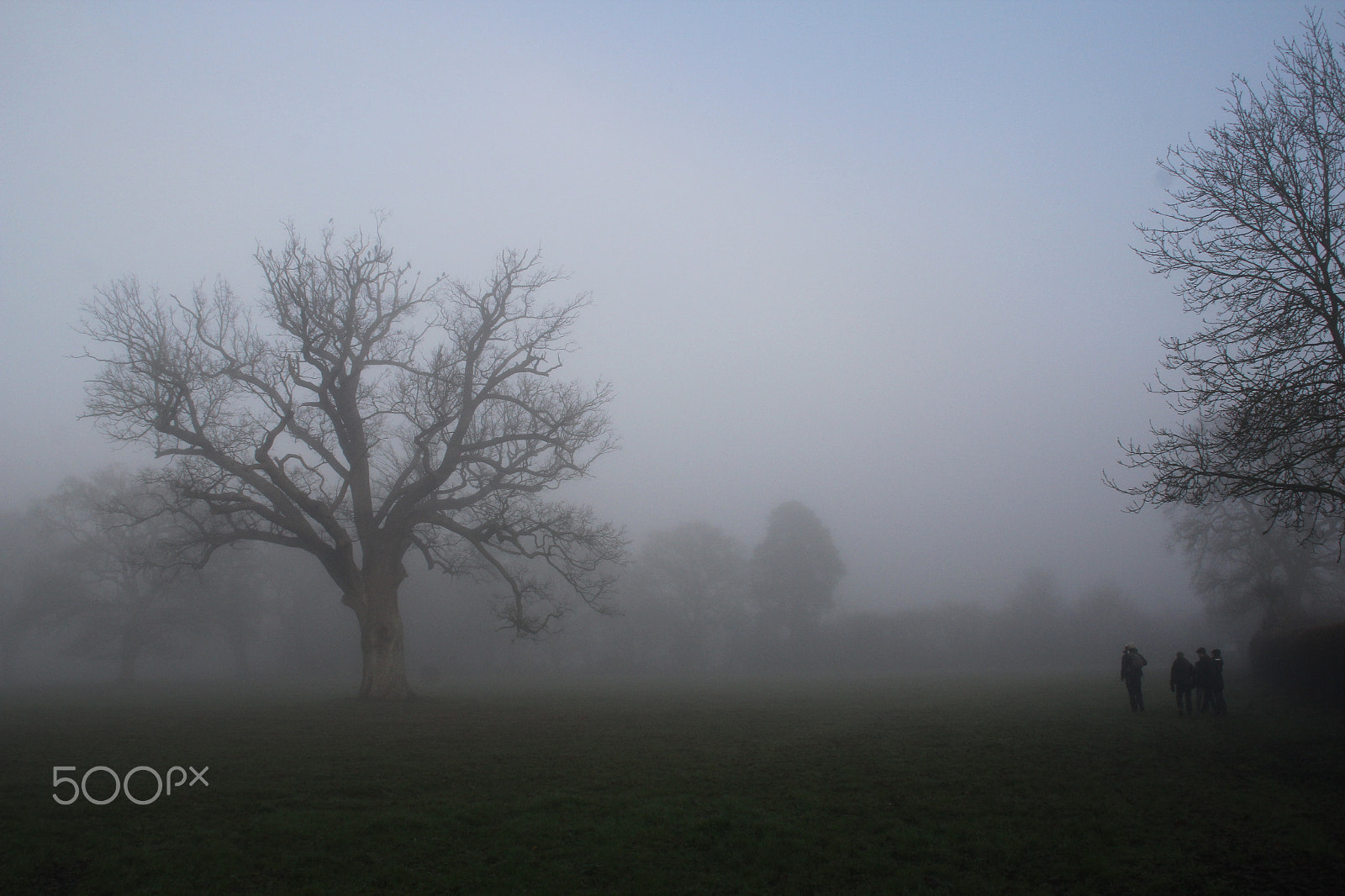 Canon EOS 60D sample photo. Img photography