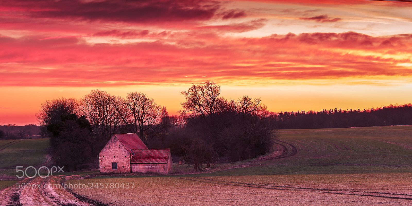 Sony a7 II sample photo. Dawn barn photography