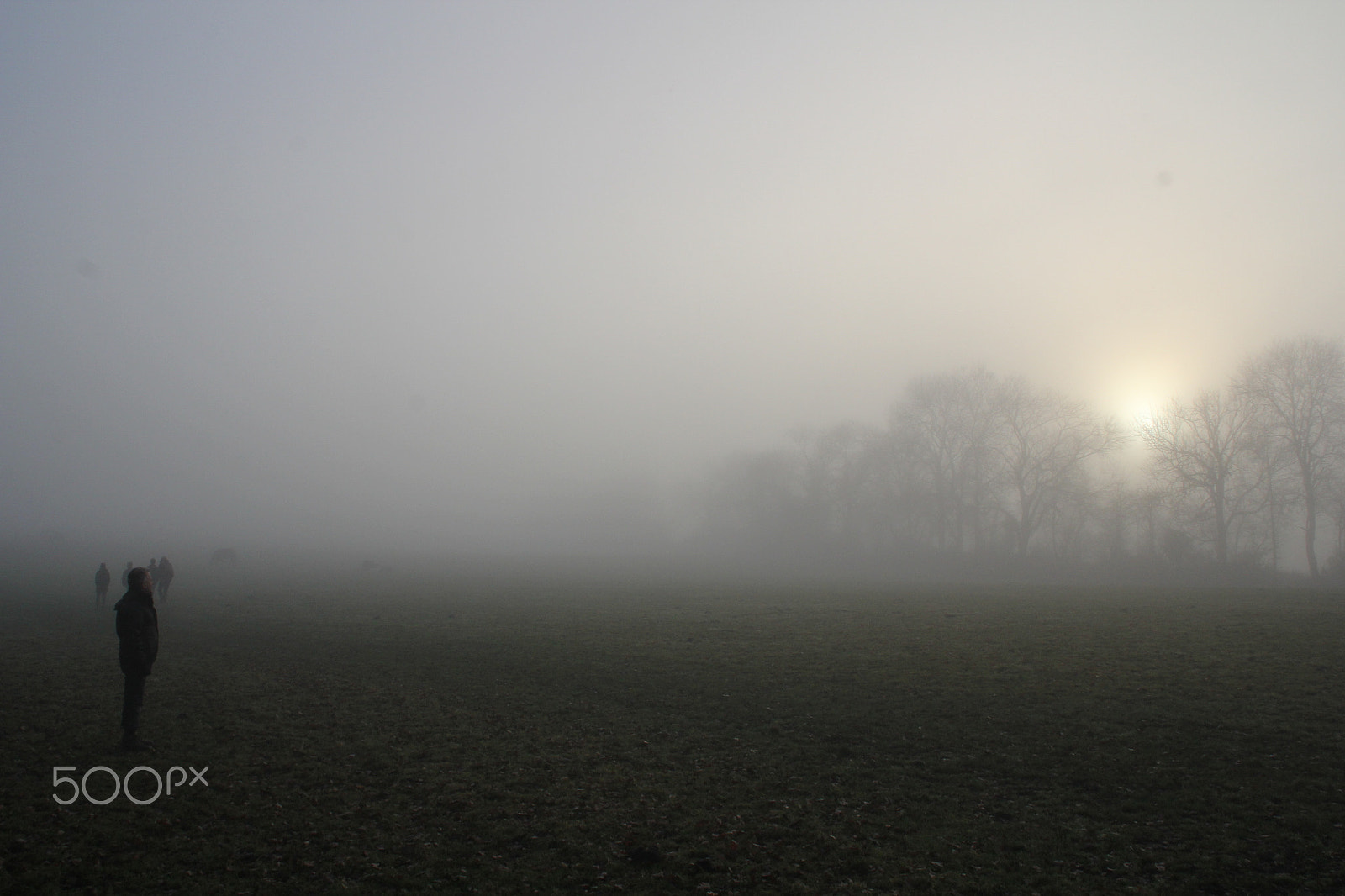 Canon EOS 60D sample photo. Img photography