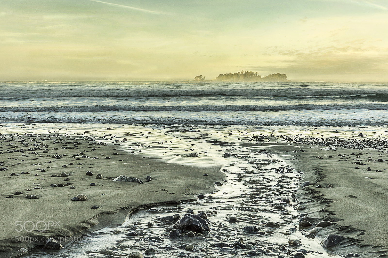 Sony a7R sample photo. Return photography