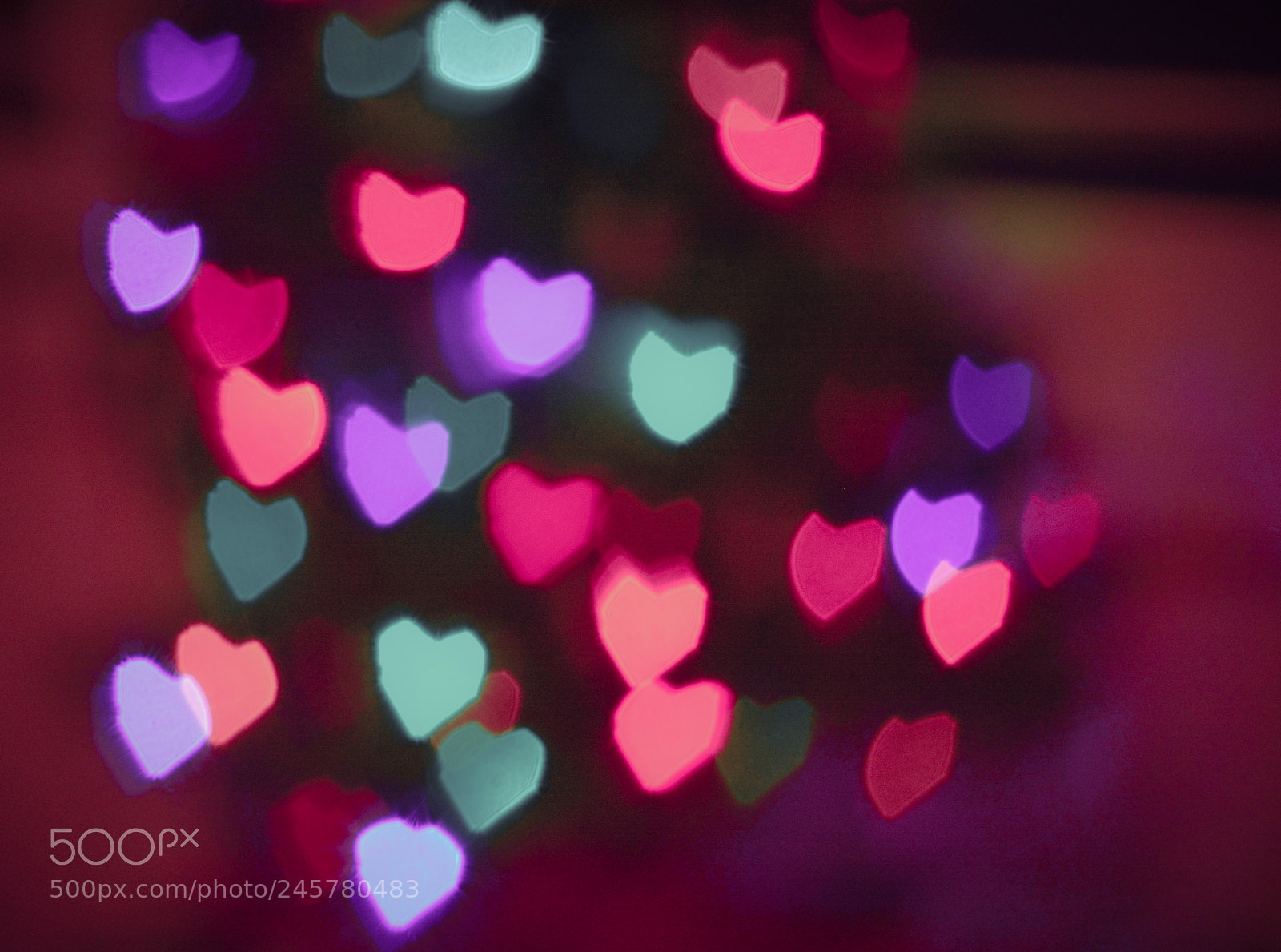 Nikon D5200 sample photo. Untitled photography