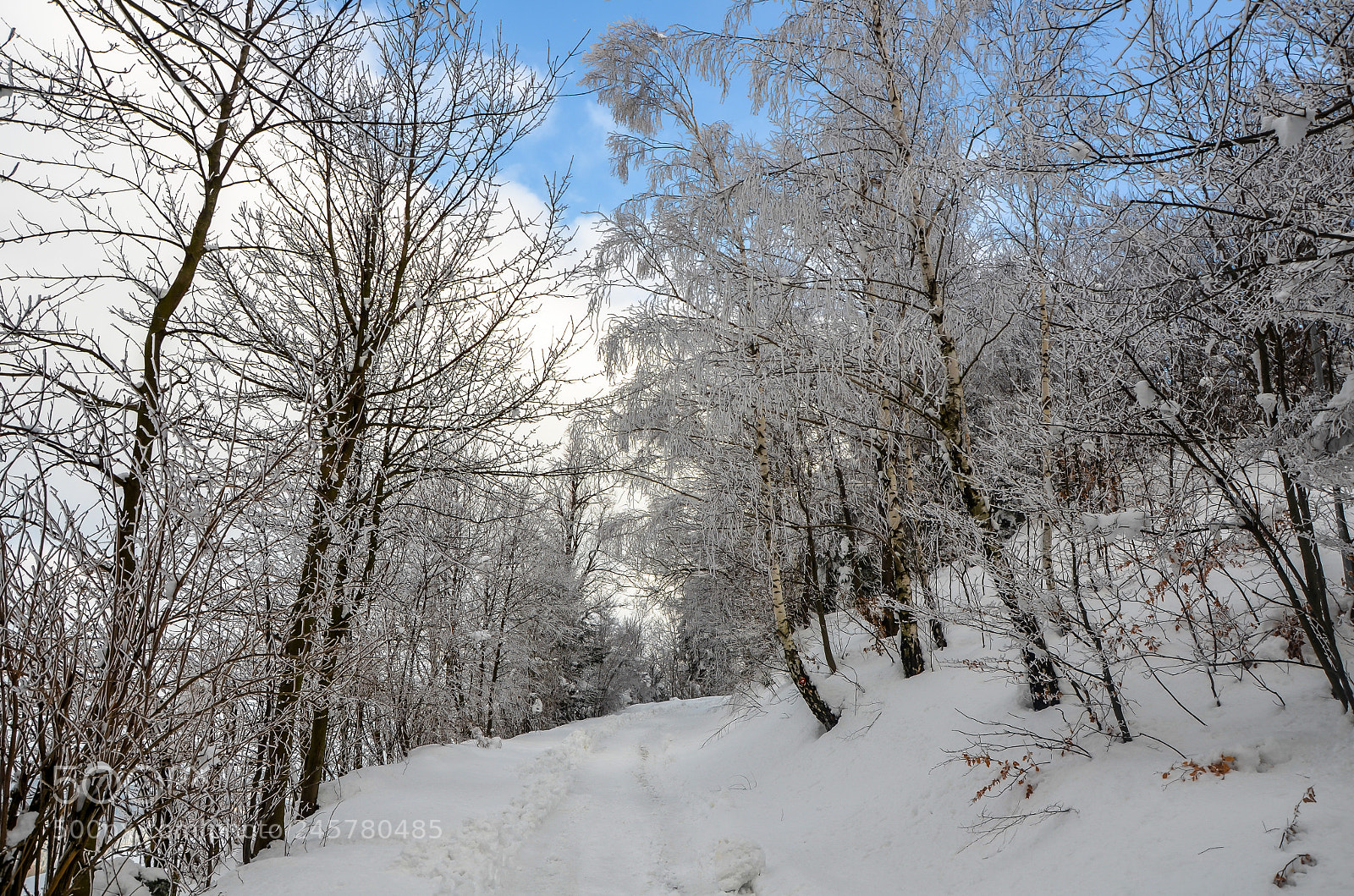 Nikon D5100 sample photo. Fresh sunday photography