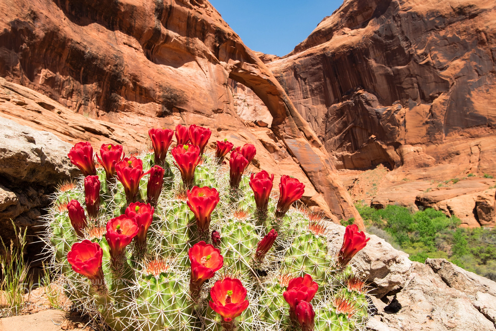 Canon EOS M5 sample photo. Cliff arch and trumpet photography