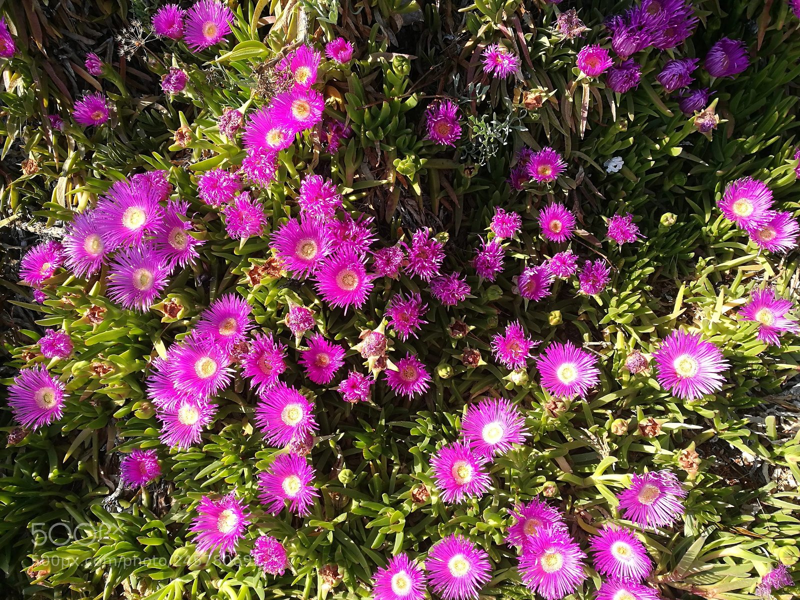 HUAWEI P9 sample photo. Untitled photography