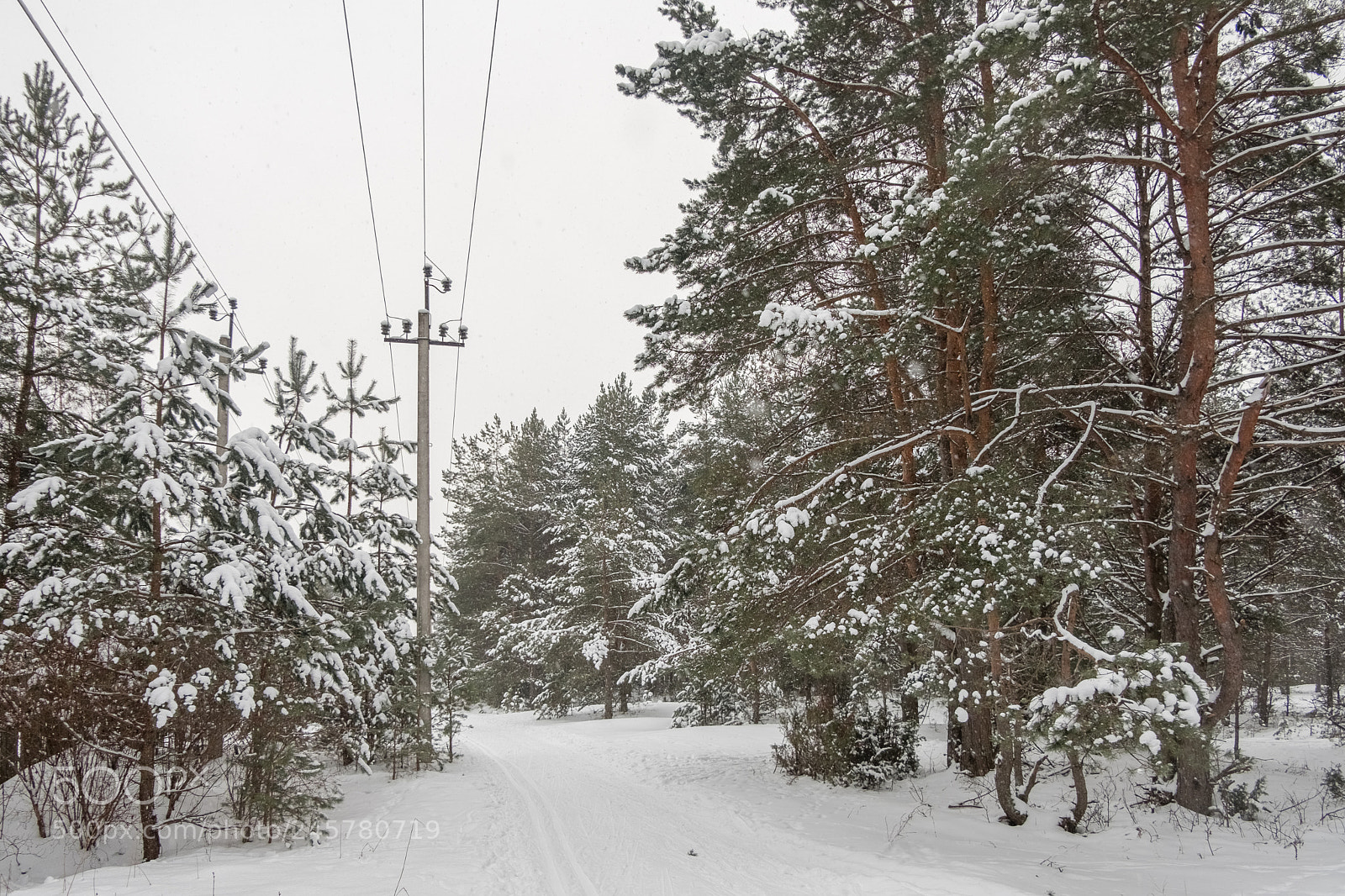 Fujifilm X-T20 sample photo. 535 photography