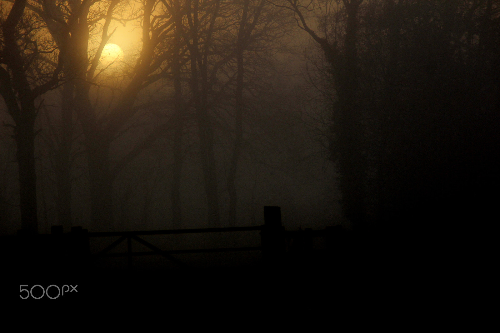 Canon EOS 60D sample photo. Img photography