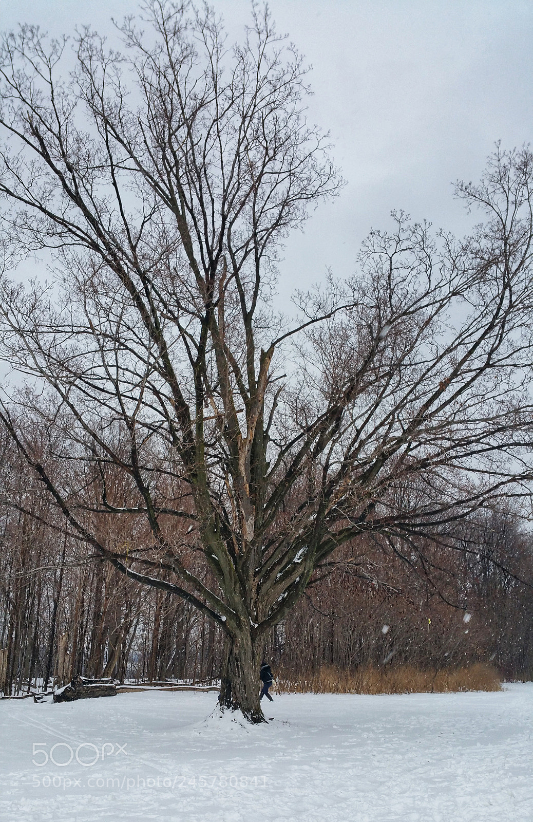 Samsung Galaxy Note4 sample photo. Untitled photography