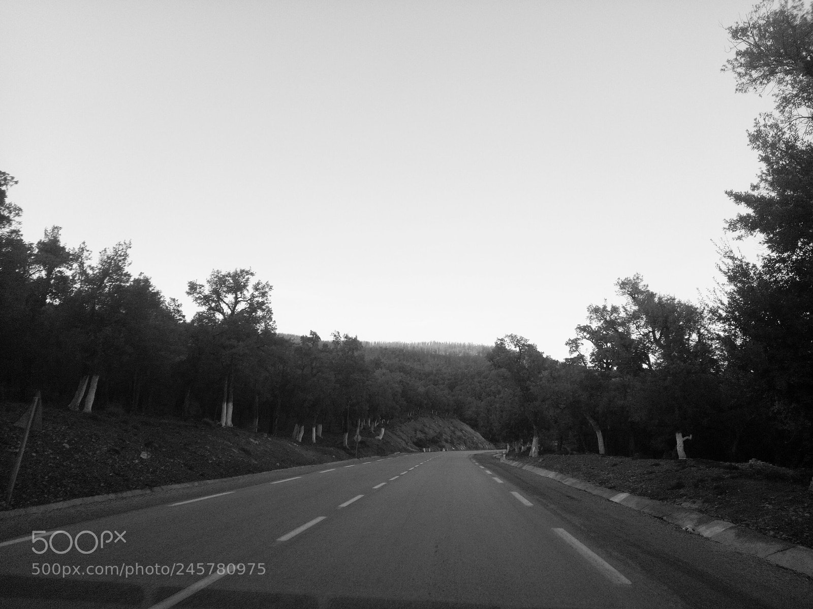 OPPO A1601 sample photo. Untitled photography