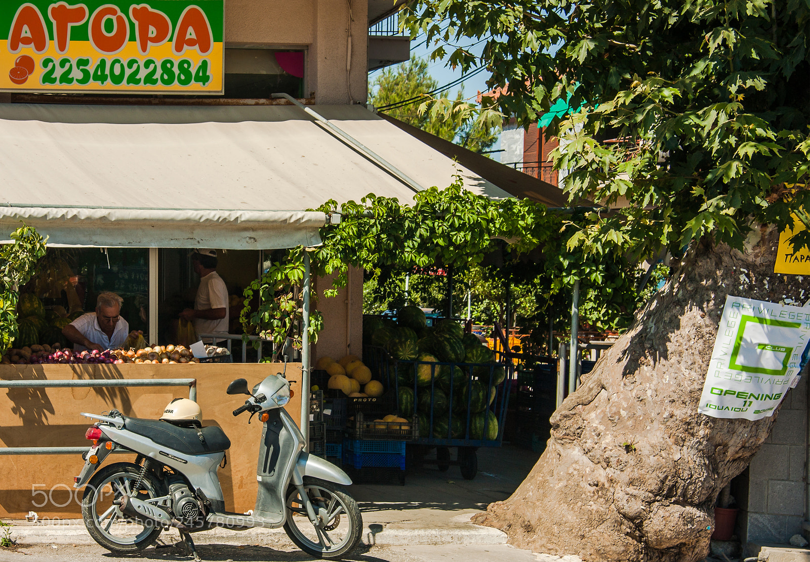 Canon EOS 40D sample photo. Fresh fruit veg shop photography