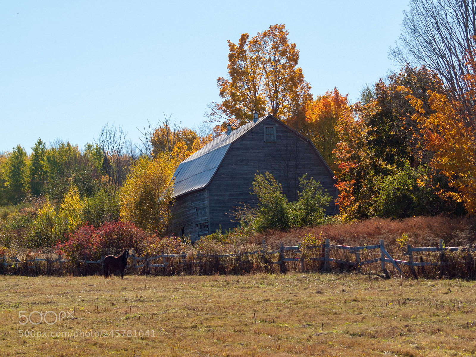 Olympus E-620 (EVOLT E-620) sample photo. Covered by fall photography