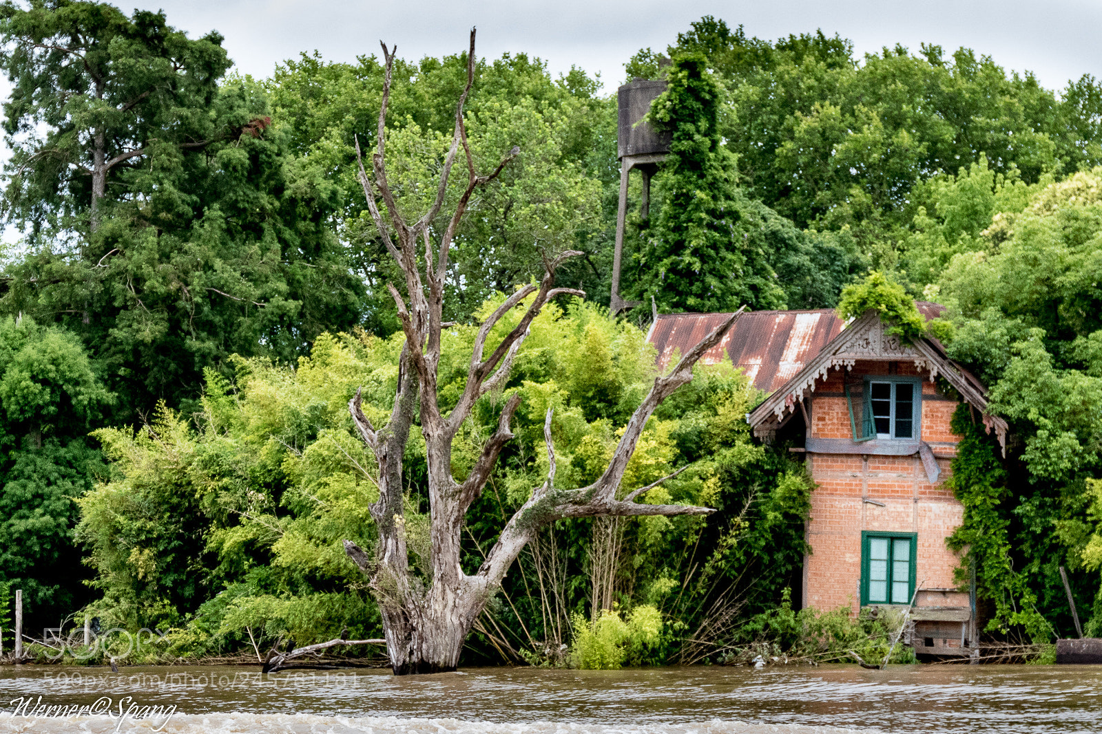 Canon EOS 7D Mark II sample photo. Lost place tigre photography