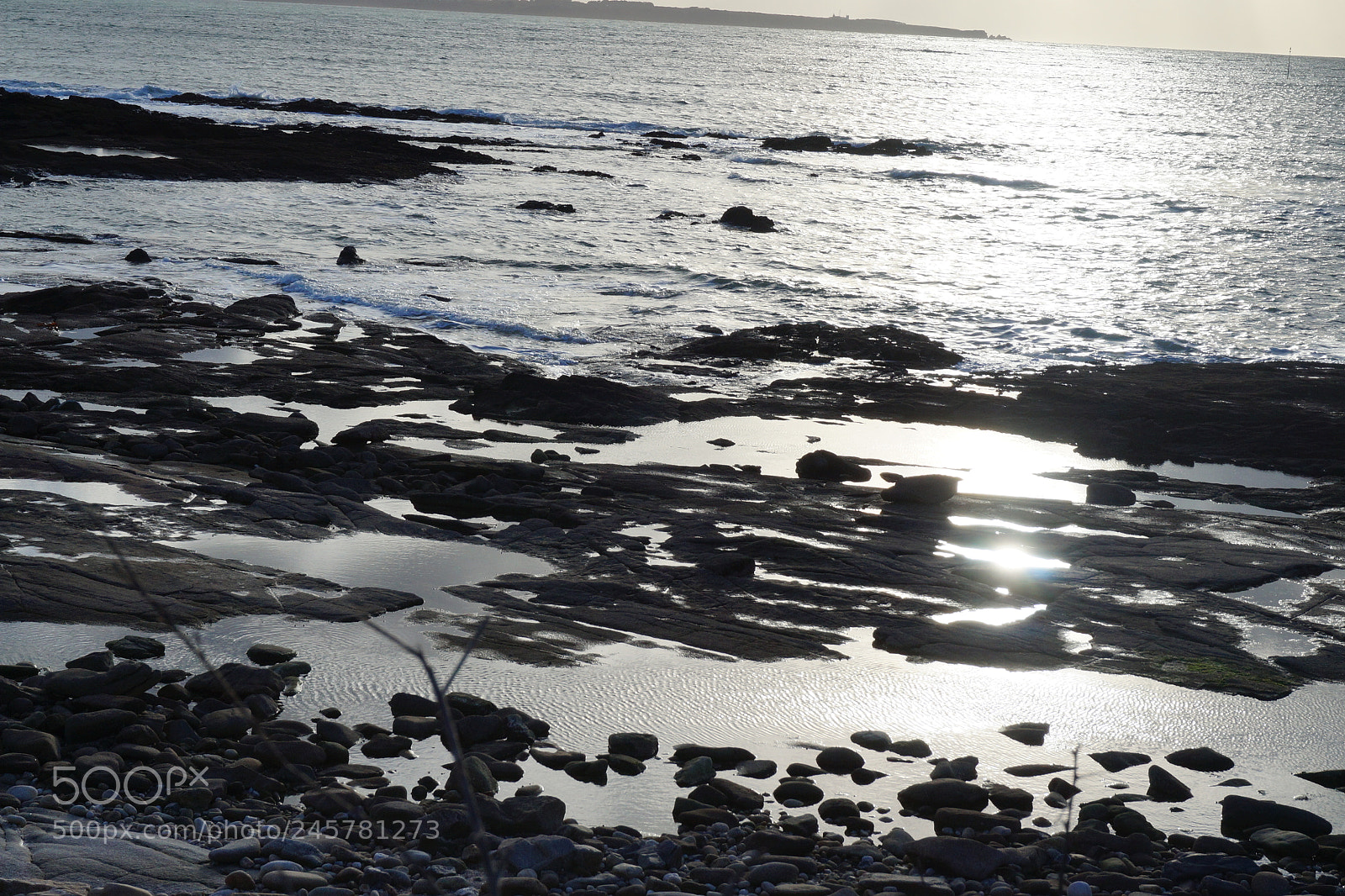 Sony Alpha NEX-3N sample photo. Dsc photography