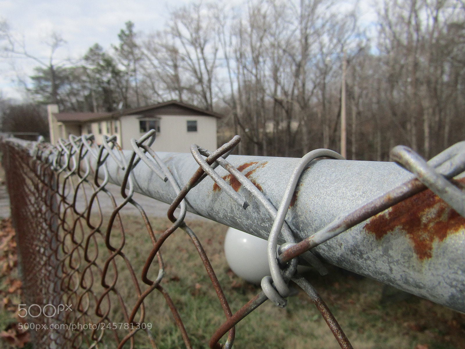 Canon PowerShot SX410 IS sample photo. Img photography