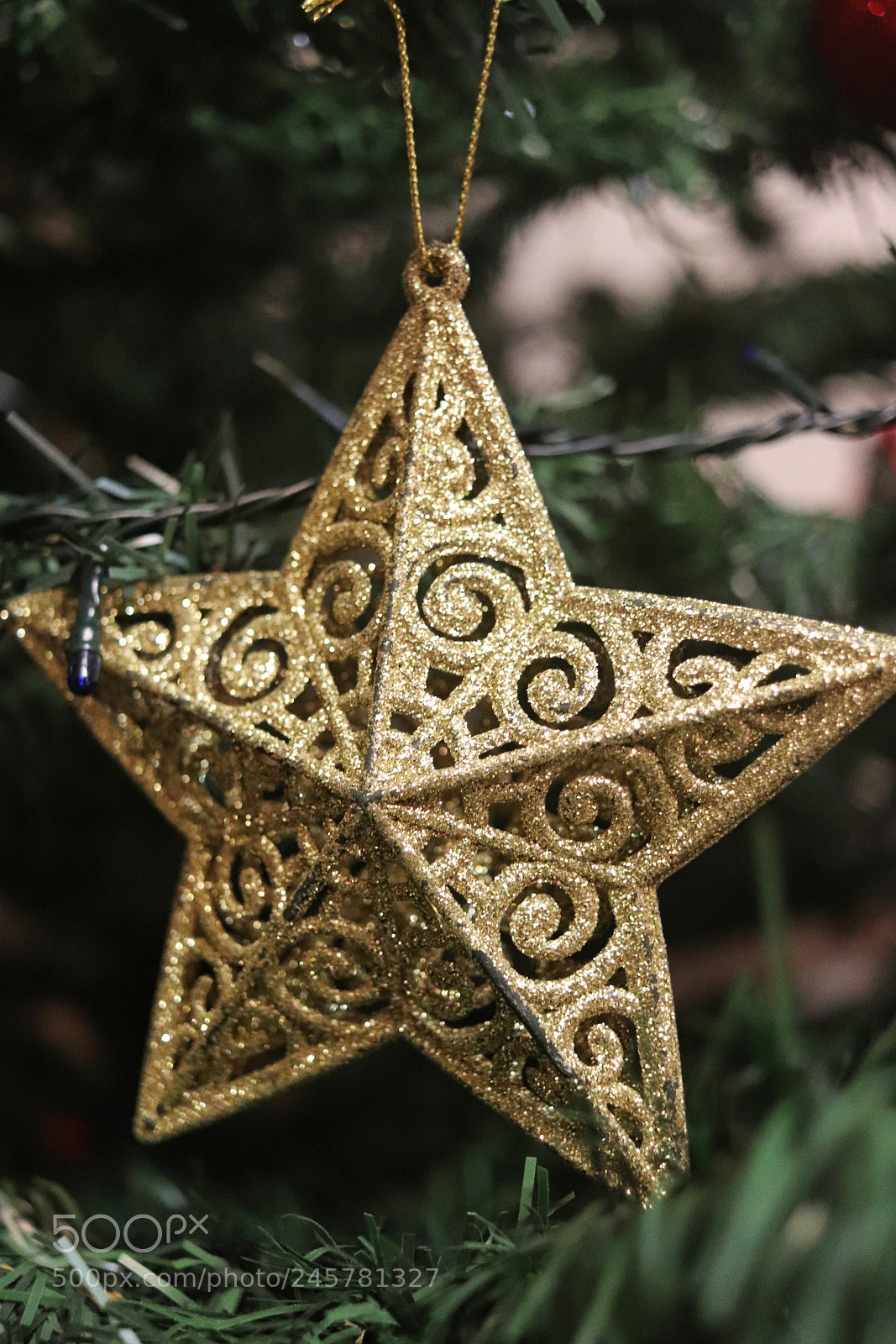 Canon EOS 200D (EOS Rebel SL2 / EOS Kiss X9) sample photo. Golden star photography