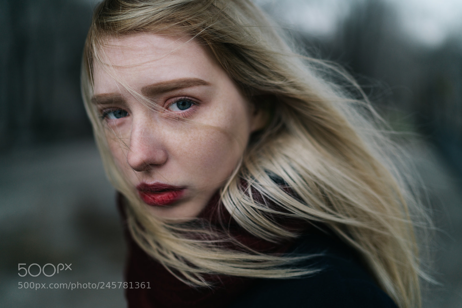 Sony a7R II sample photo. 272/365 photography