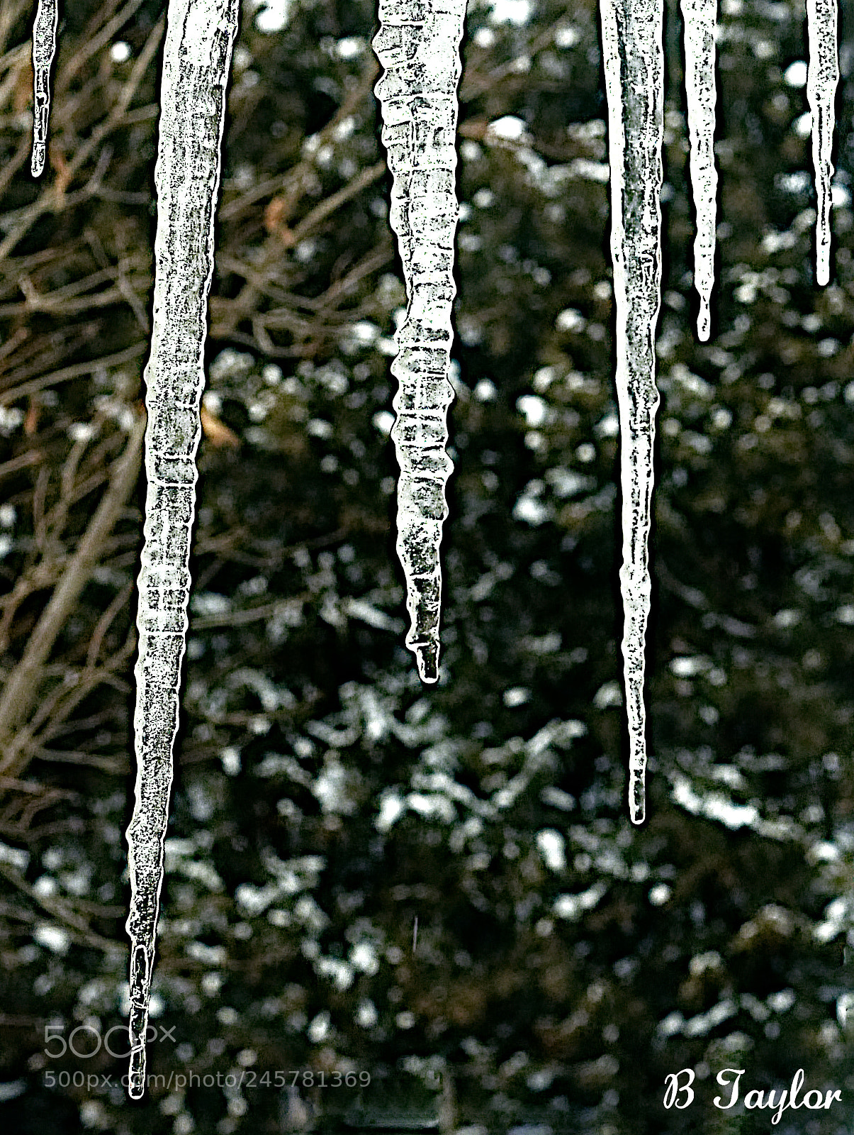 Sony SLT-A57 sample photo. Icicle posts photography